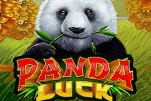 Panda Luck - AUTOCUAN777