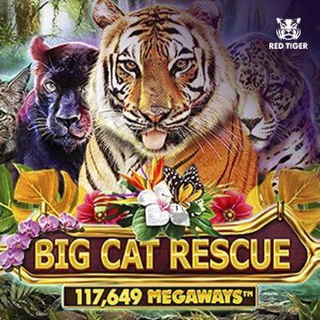 Big Cat Rescue Megaways - AUTOCUAN777