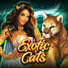 Exotic Cats - AUTOCUAN777
