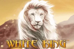 White King - AUTOCUAN777