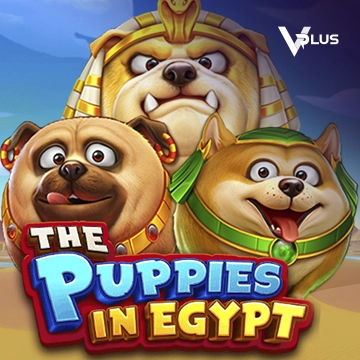 The Puppies In Egypt - AUTOCUAN777