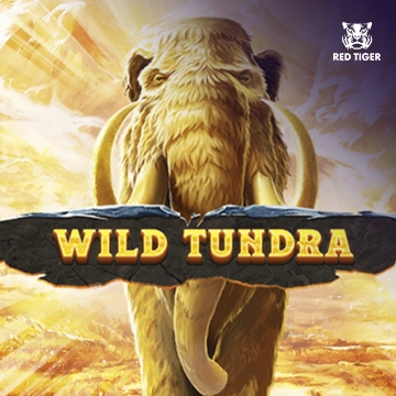 Wild Tundra - AUTOCUAN777