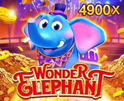 Wonder Elephant - AUTOCUAN777