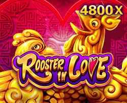 Rooster In Love - AUTOCUAN777