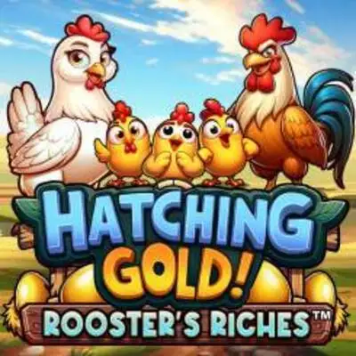 Hatching Gold! Roosters Riches - AUTOCUAN777