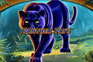 Panther Pays - AUTOCUAN777