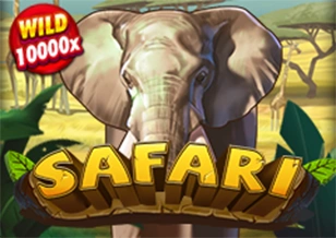 Safari - AUTOCUAN777