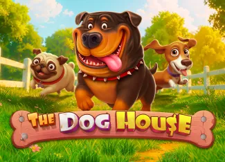 Pragmatic : The Dog House - AUTOCUAN777